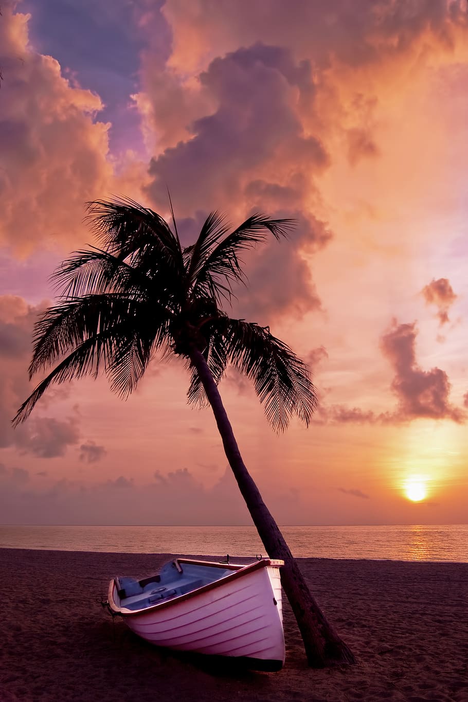 White Boat Beside Tree Under Orange Sky during Sunset, beach HD wallpaper
