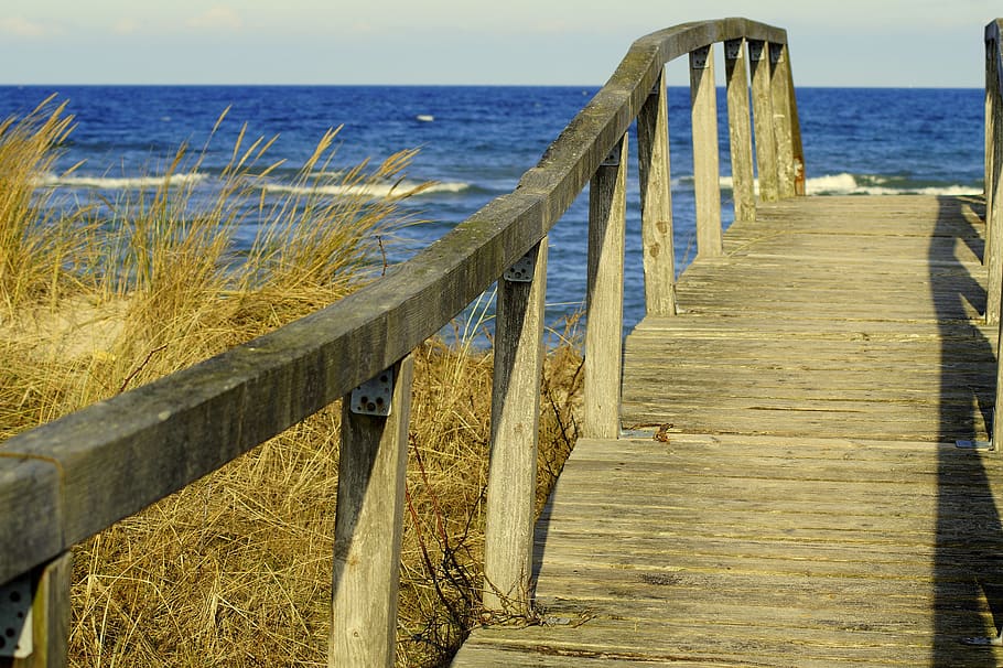bridge, away, wood, web, water, railing, trail, wooden bridge, HD wallpaper