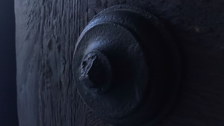 door, knocker, close-up, eye, one animal, mammal, black color HD wallpaper