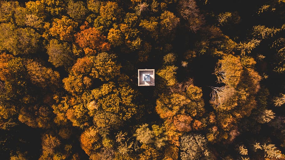 drone, forest, mountain, tower, nature, dusk, dji, landscape HD wallpaper