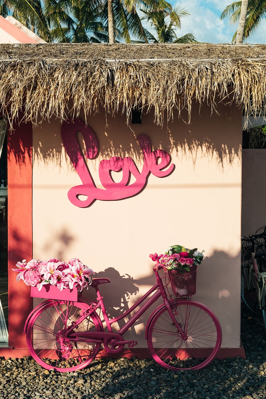 pink city bicycle, indonesia, gili air, vase, flora, jar, plant, HD wallpaper
