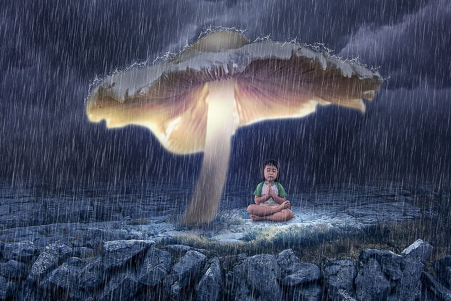manipulation, rocks, landscape, mushroom, girl, light, sky HD wallpaper