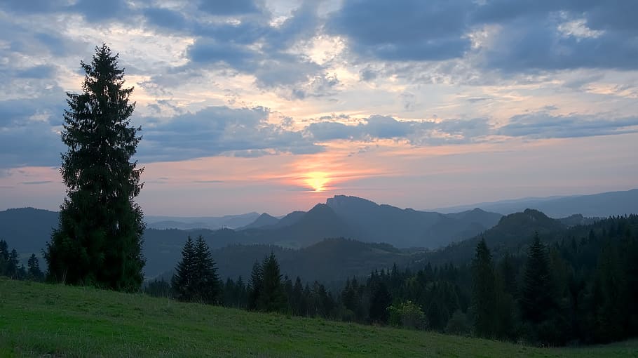 landscape, view, west, mountains, beskids, tree, forest, pieniny HD wallpaper