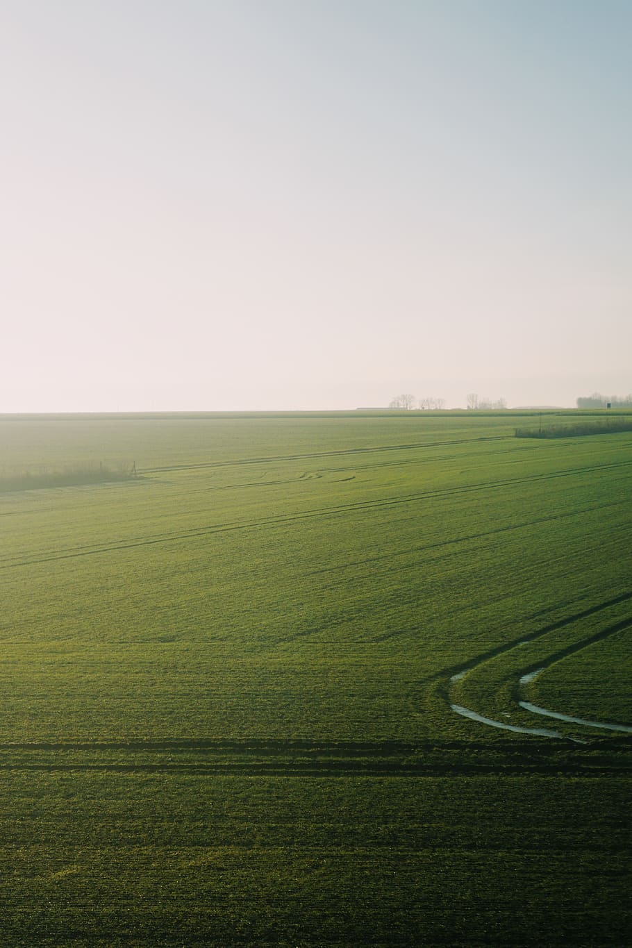 green grass field, grassland, outdoors, farm, landscape, nature HD wallpaper