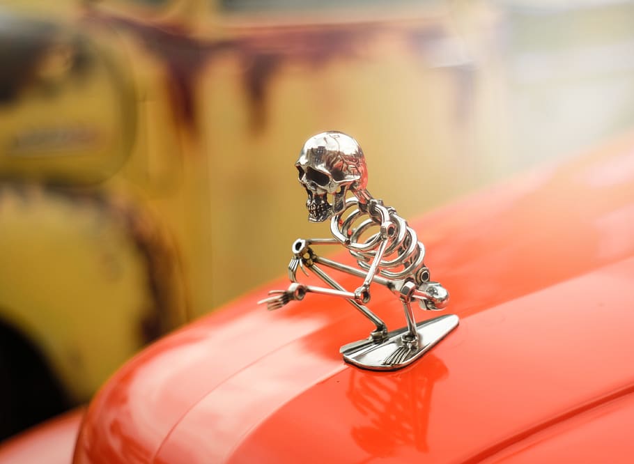 silver-colored skull figurine, close-up, jewelry, ring, diamond - gemstone HD wallpaper