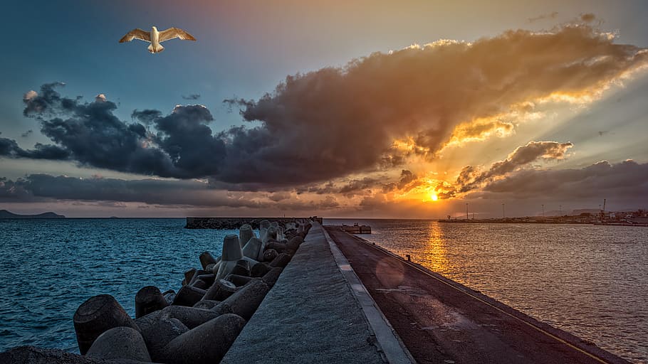 Photography Of Body Of Water, clouds, dawn, dusk, harbour, ocean HD wallpaper