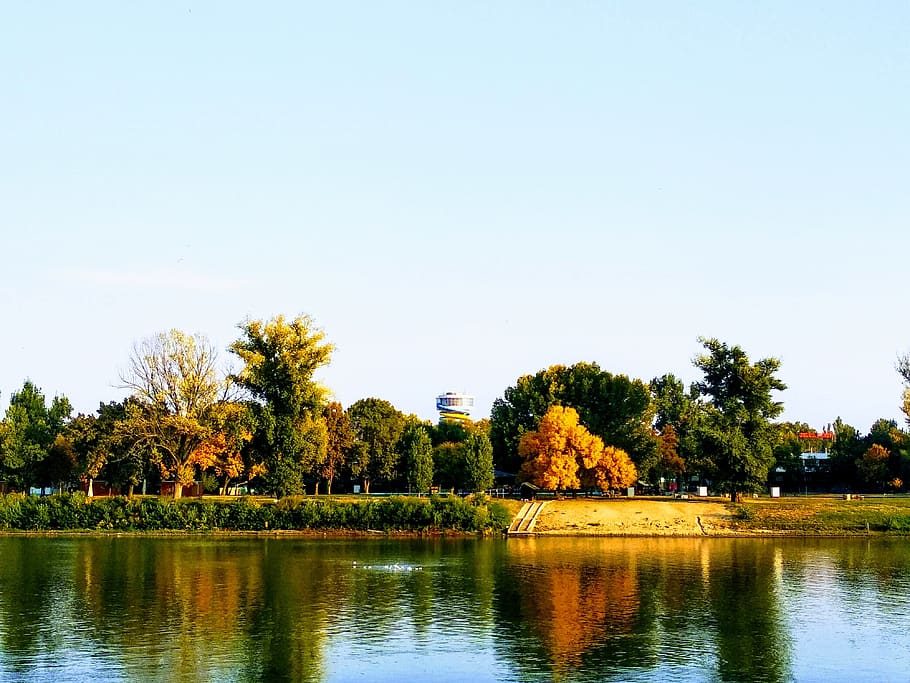 autumn, fall, tisza, october, riverside, landscape, tree, plant HD wallpaper