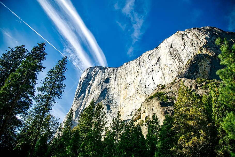 Mountain Cliff Surrounded by Trees, adventure, clouds, conifers HD wallpaper