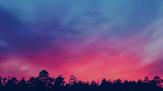 Silhouette Photo of Trees during Golden Hour, bright, clouds HD wallpaper