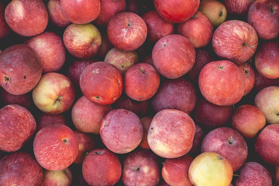 ripe apples, fruit, produce, plant, flora, food, grapes, peach HD wallpaper