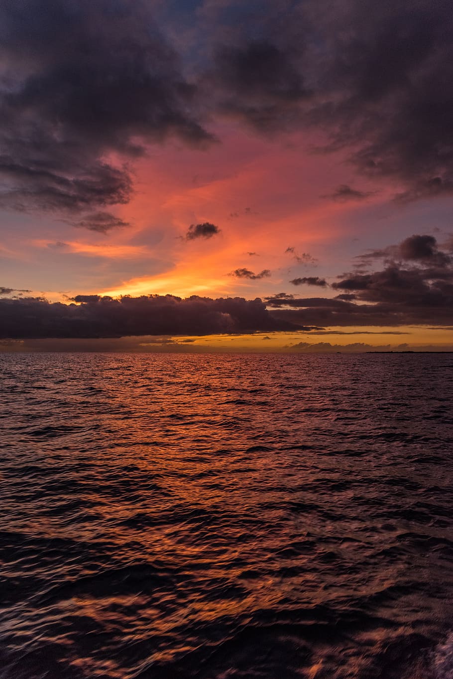 sunset on beach, nature, outdoors, sunlight, red sky, dawn, dusk HD wallpaper