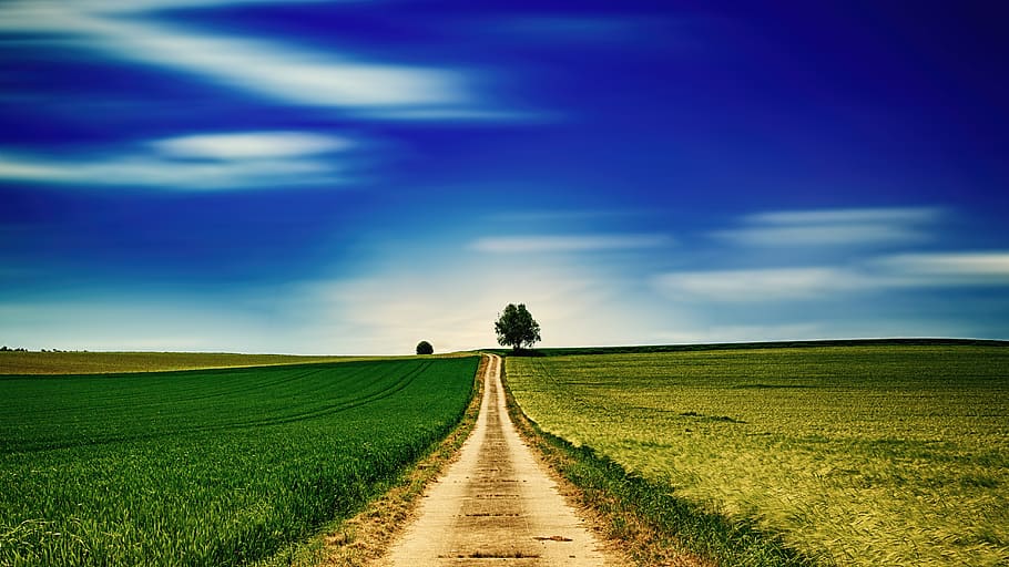 sky, panorama, field, grass, nature, agriculture, rural, cloud HD wallpaper