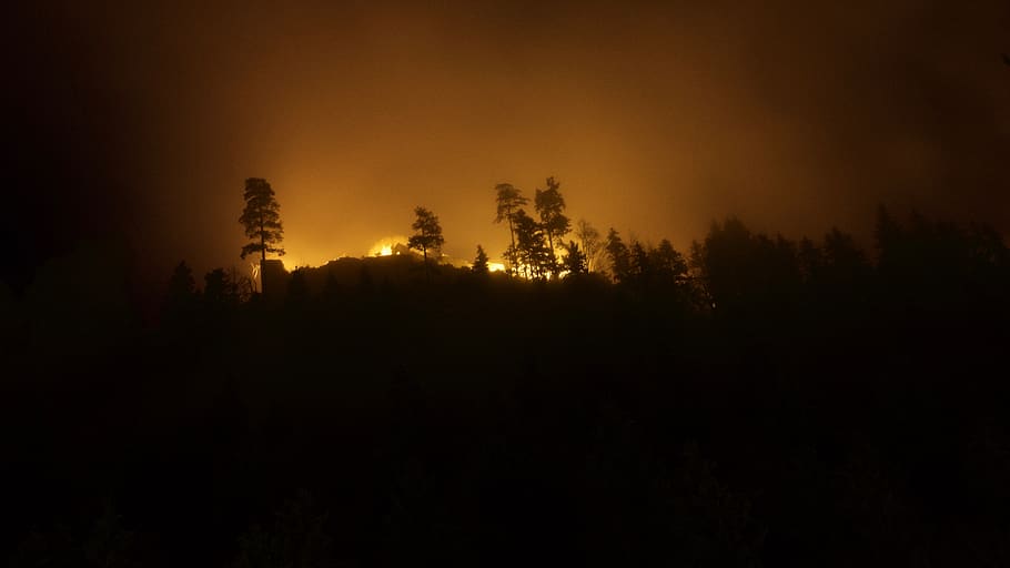 reutte, austria, forest, trees, castle, fire, mountain, hill HD wallpaper