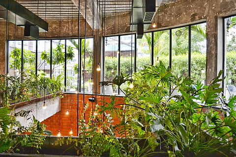 Green Leaf Plans in Closeup Photography, architecture, balcony HD wallpaper