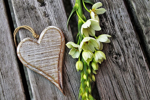 feeling, white, flower, love, heart, for you, wooden, emotions HD wallpaper