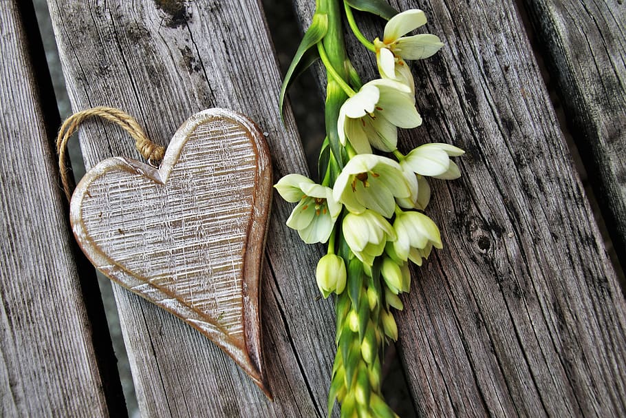 feeling, white, flower, love, heart, for you, wooden, emotions HD wallpaper