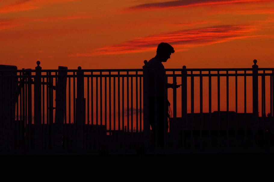 sunset, phone, man, rooftop, city, summer, twilight, solitude HD wallpaper