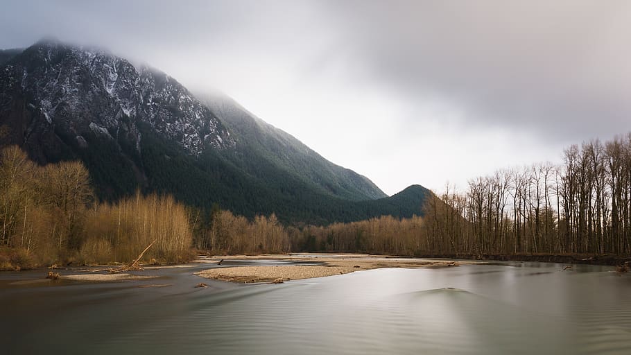 brown leafed trees near body of water and mountain under white clouds during daytime, HD wallpaper