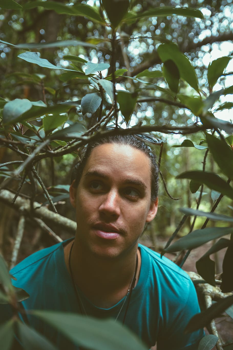 man standing under tree, portrait, plant, headshot, one person HD wallpaper