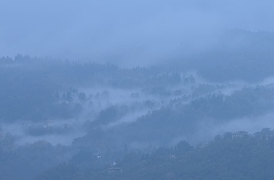 fog, mountain, blue, trees, winter, woods, country, beauty in nature HD wallpaper