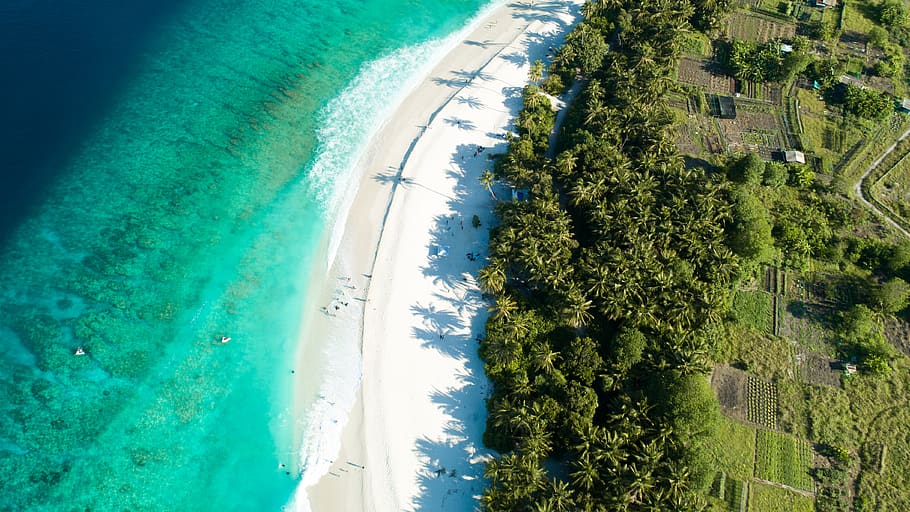 beach and forest during day, land, nature, outdoors, ocean, sea HD wallpaper