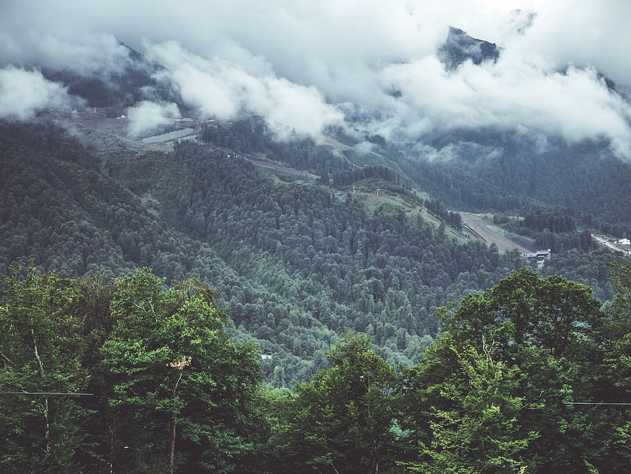Photography of Forest, clouds, environment, fog, grass, green HD wallpaper