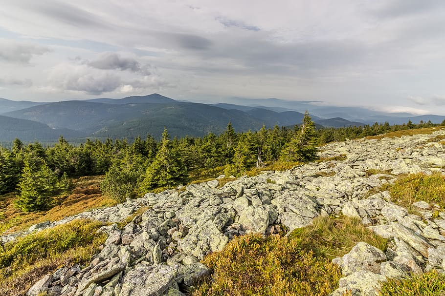 rocks, greem, tree, trees, nature, mountains, beauty in nature HD wallpaper