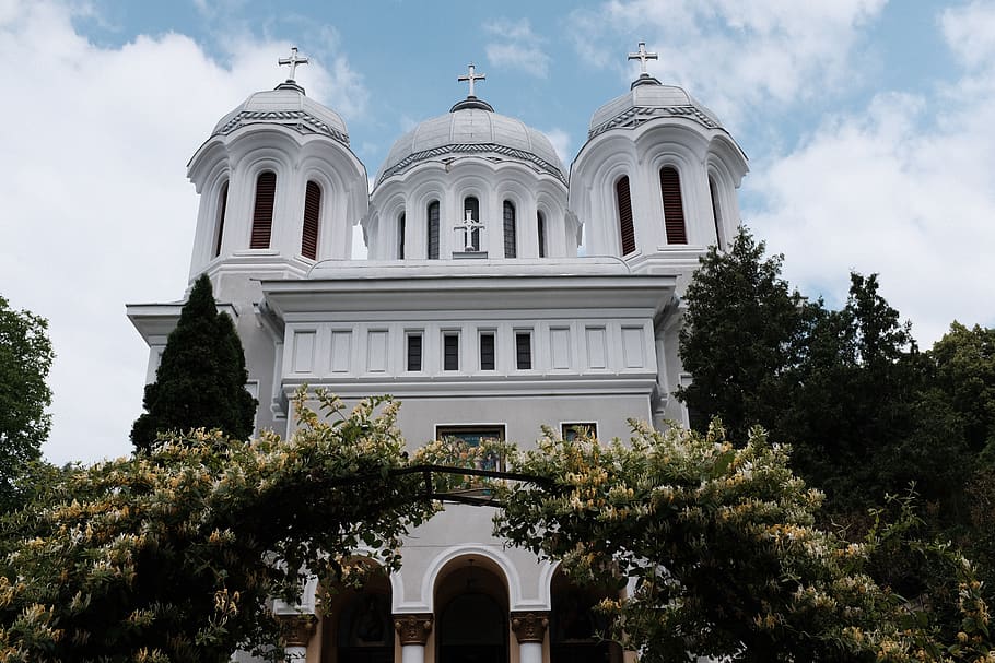 White Concrete Cathedral Near Trees, ancient, architecture, building HD wallpaper