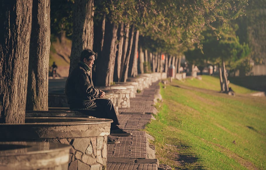 Man Seating on Concrete Base, daylight, elderly, grass, park HD wallpaper