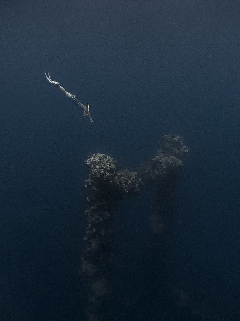person diving underwater, flying, nature, low angle view, sky HD wallpaper