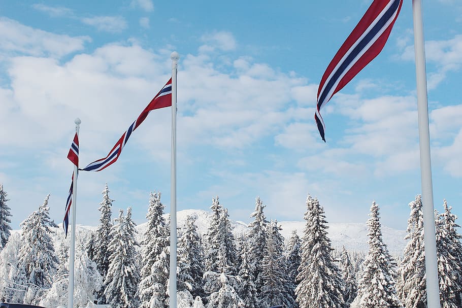 Red and Black Flags Waving, banner, cold, daytime, flagpole, frost HD wallpaper