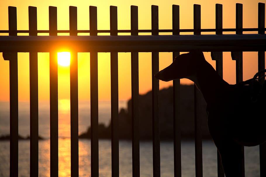 spain, tossa de mar, silhouette, sunset, sky, safety, barrier HD wallpaper