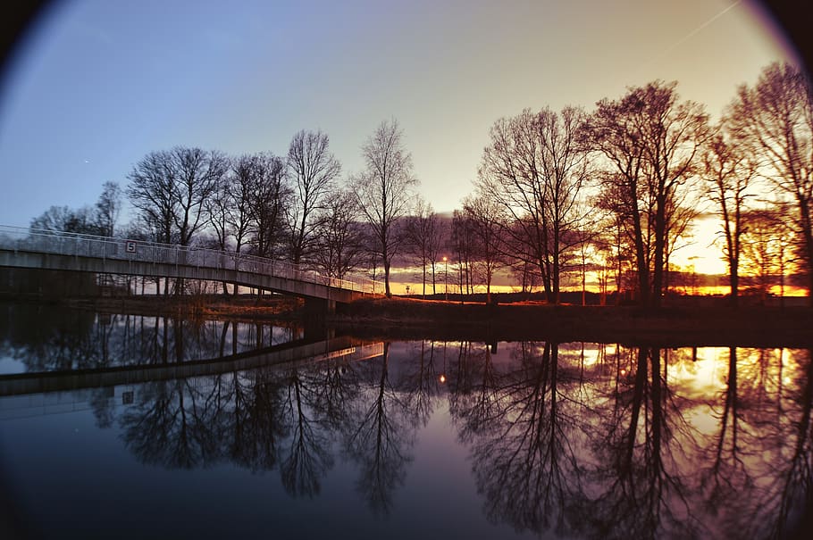sweden, reflection, water, tree, sky, sunset, nature, lake HD wallpaper