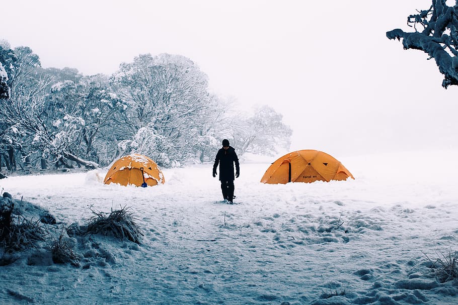 australia, dinner plain, trees, morning, cold, tents, camping HD wallpaper