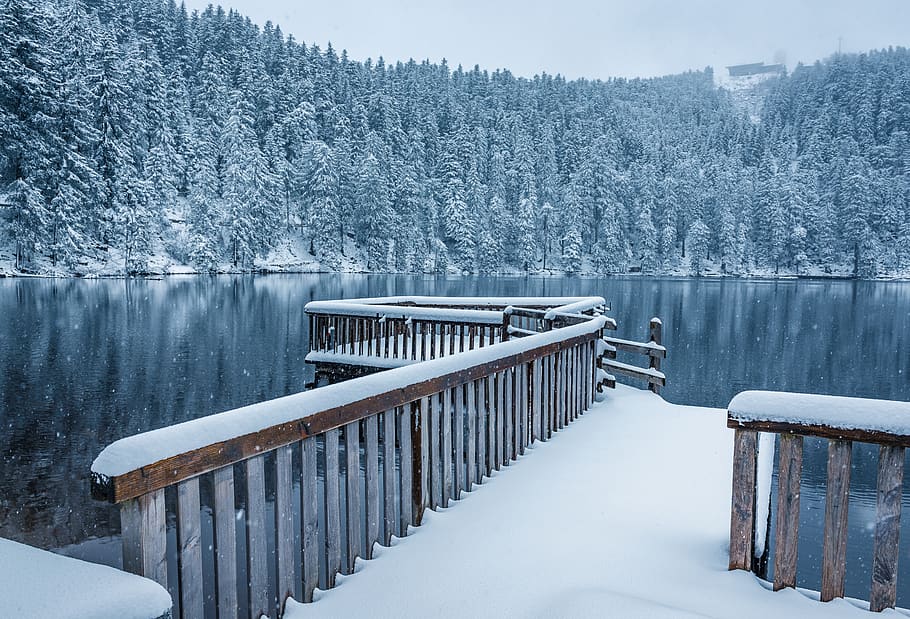 black forest, waldsee, mirroring, snow, jetty, water, lake HD wallpaper