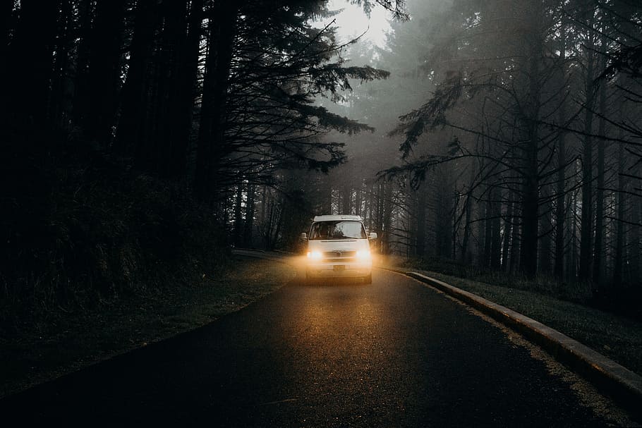 white vehicle on road, van, light, leaf, leaves, forest, woodland HD wallpaper