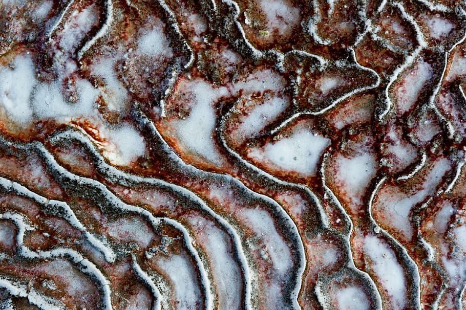 full frame, backgrounds, pattern, no people, food, close-up HD wallpaper
