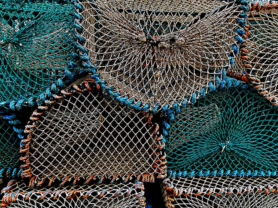 five brown and blue net bags, fishing industry, fishing net, pattern