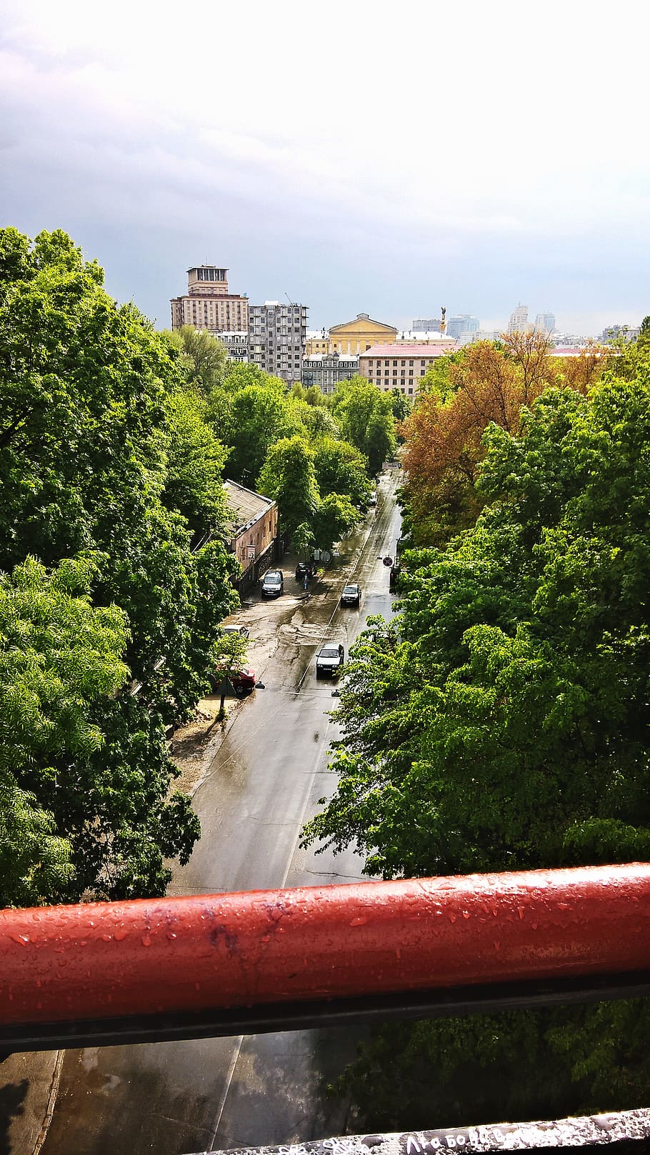 ukraine, kyiv, tree, plant, architecture, built structure, building exterior HD wallpaper