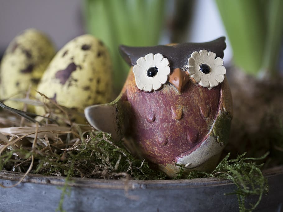 easter, owl, egg, close up, eastern egg, spring, food, vegetable HD wallpaper