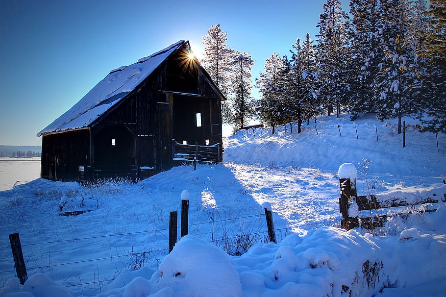 farming, barn, morning, winter, snow, sunrise, cold, frosty, HD wallpaper