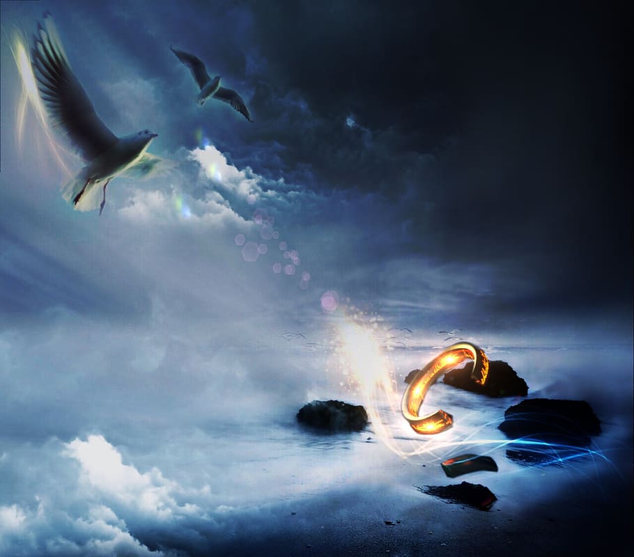 pigeons, sky, flying, top, blue, bird, darkness, still, feather HD wallpaper
