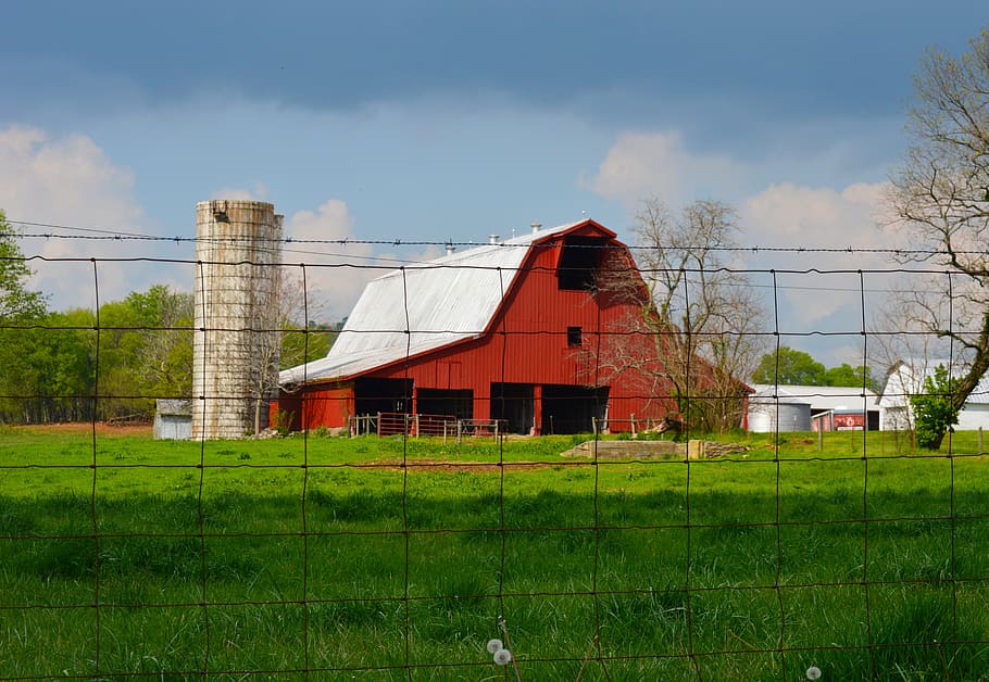red, barn, scenic, summer, sky, colorful, sunny, landscape HD wallpaper