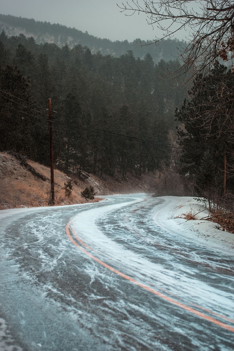 snow-covered asphalt road, plant, tree, fir, abies, way, highway HD wallpaper