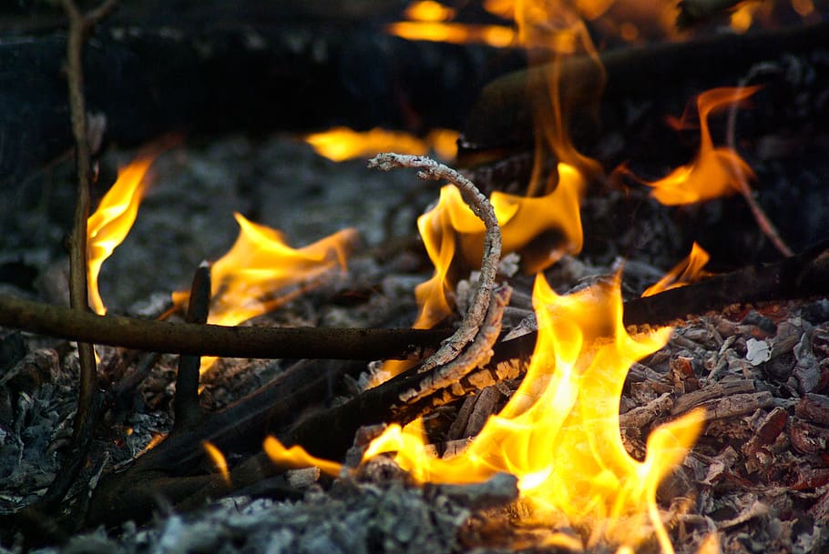 fire, ash, smoke, wood, fireplace, combustion, ember, hot, burning HD wallpaper