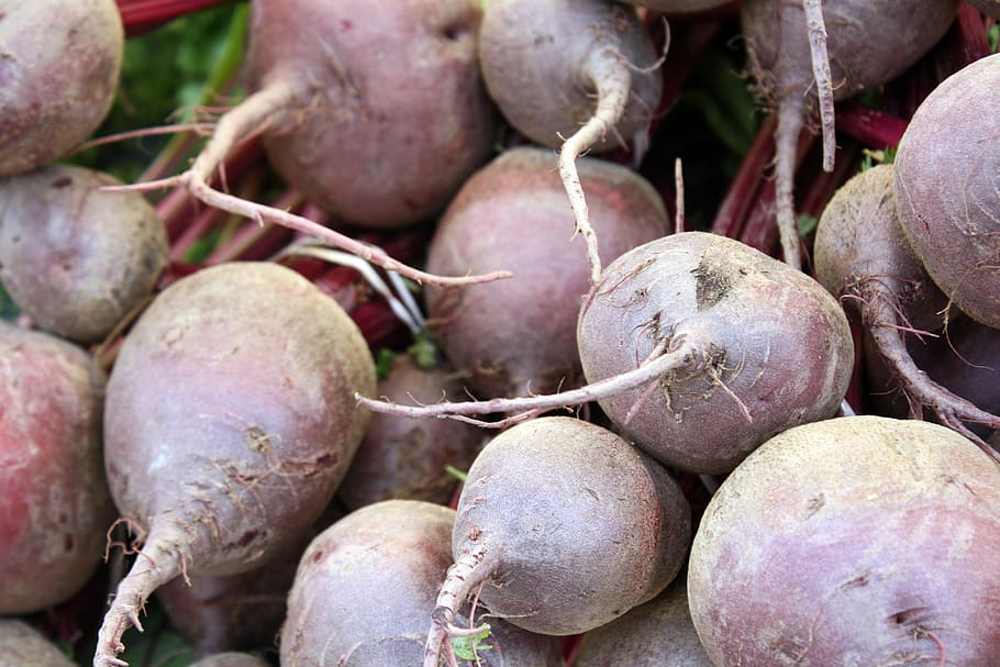 beets, beats, farmers, market, root, red, hearty, food, vegetable, HD wallpaper