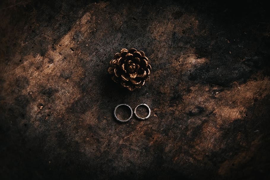 pine cone beside two rings, plant, tree, accessories, accessory HD wallpaper
