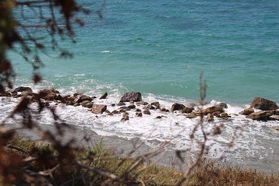 greece, kos, seaside, seashore, rock, tree, water, wave, beach HD wallpaper