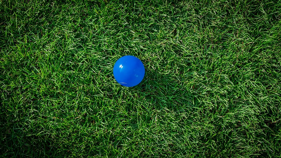 rush, green, grass, nature, background, ball, blue, plant, green color HD wallpaper