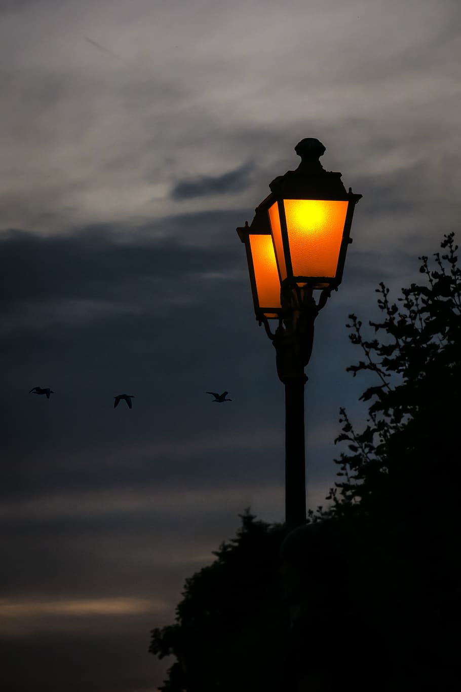 lantern, lamp, lighting, street lamp, light source, evening HD wallpaper